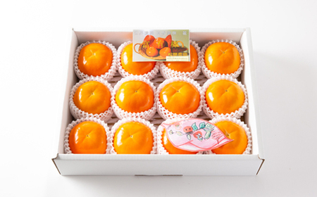 【先行予約:2026年配送】太陽の光をたっぷり浴びた松岡農園の富有柿(2L 12個)_果物・フルーツ 柿(カキ) かき_【1090793】