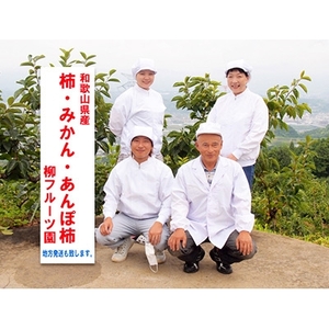 【先行受付】柳フルーツ園の富有柿_果物・フルーツ 柿（カキ）  かき_【配送不可地域：離島】【1021101】