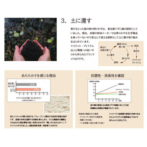 天然の抗菌・消臭剤「柿渋」使用 mayu-ket premium シングルサイズ ライトベージュ_雑貨・日用品 毛布 寝具 _【1380242】