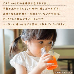 【毎月定期便】にんじんジュース (190g×30本) 無添加 北海道産 人参 野菜ジュース 全12回_飲料・ドリンク 野菜ジュース ジュース   定期便 定期便  _【4007309】