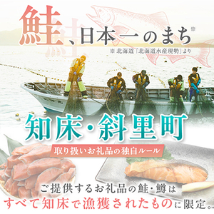 【訳あり】北海道斜里町産　無塩天然秋鮭切身 2kg【無添加】【配送不可地域：離島・沖縄県】【1507540】