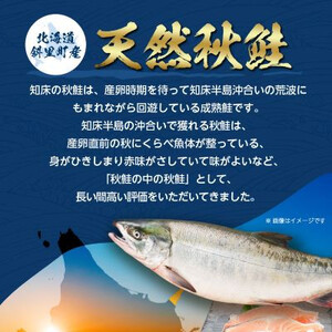 【訳あり】北海道斜里町産　無塩天然秋鮭切身 3kg【無添加】【配送不可地域：離島・沖縄県】【1507541】