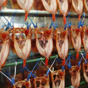 オホーツク海斜里町産 きんき(めんめ)一夜干し1枚300g×2パック 知床しゃりブランド認証品_魚介・海産物 干物 _【配送不可地域:離島・沖縄県】【1521352】