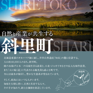 オホーツク海斜里町産 きんき(めんめ)一夜干し1枚300g×2パック 知床しゃりブランド認証品 干物