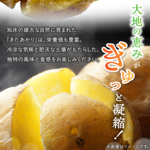 知床の大自然が育む黄金色の極上芋 きたあかり 5kg_野菜 じゃがいも いも ジャガイモ 馬鈴薯_【配送不可地域:離島・沖縄県】【1537870】