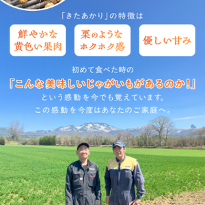 知床の大自然が育む黄金色の極上芋 きたあかり 5kg_野菜 じゃがいも いも ジャガイモ 馬鈴薯_【配送不可地域:離島・沖縄県】【1537870】