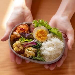 知床トコさん ランチボックス(Sサイズ)・箸 セット 【アイボリー】弁当箱　マイ箸【配送不可地域：離島・沖縄県】【1633142】