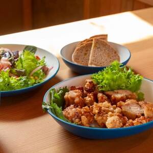 知床トコさんテーブルウェアシリーズ　丸ボウル皿 2枚セット (S)【ベージュ】【配送不可地域：離島・沖縄県】【1638999】