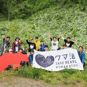 クマ活ステッカー【1650547】