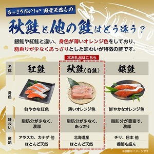 【訳あり】北海道斜里町産 骨取り無塩 天然ダイスサーモン 1kg【無添加】【配送不可地域:離島・沖縄県】【1654857】