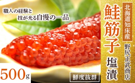 北海道知床産 鮭筋子(塩漬) 500g【配送不可地域：離島】【1213308】