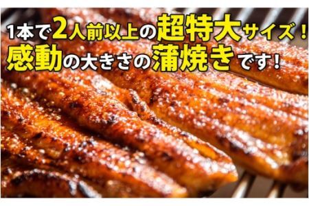 【数量限定】超特大サイズ国産うなぎ蒲焼き2本セット （230～249g×2本）(B632-2)