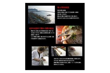 186 プレミア和歌山の辰ヶ鱧！鱧の湯引き２人前(B186-1)