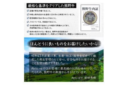 黒毛和牛100％希少なブランド熊野牛ハンバーグ（150ｇ×6個）(B663-1)