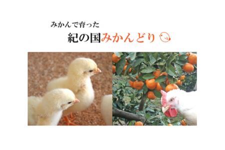 【紀の国みかんどり使用】鶏鍋4人前セット(B534-1)