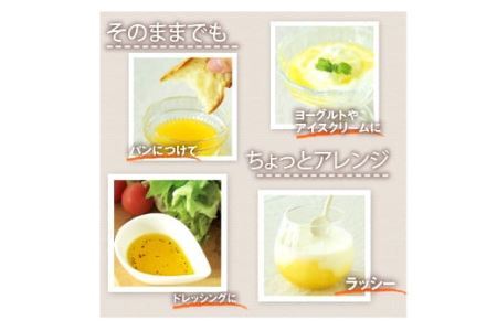 伊藤農園の日々みかん酢８本入りセット(B500-2)