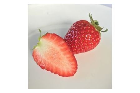 特選 大粒いちご 「まりひめ」1箱(B236-2)