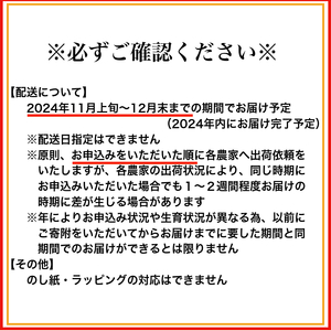 【小粒･2S】有田みかん「未来への虹」（10kg）(B239-1)