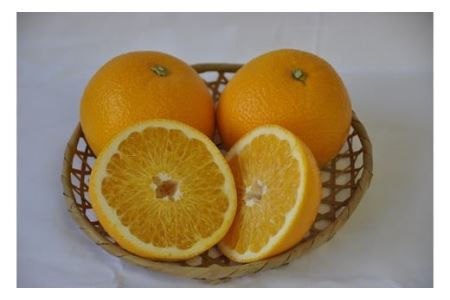 有田の旬果　詰め合わせ(B152-1)