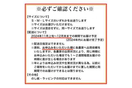 有田みかん「未来への虹」（10kg）(B2-1)