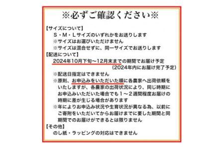 有田市認定みかん「未来への虹」至宝(3kg)【日本初自治体認定フルーツ】(B327-2)