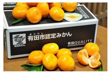 有田市認定みかん「未来への虹」至宝(5kg)【日本初自治体認定フルーツ】(B1-2)