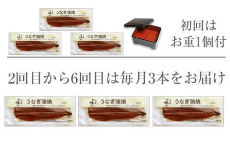 【定期便】国産うなぎ蒲焼き特大サイズ３本セット（６ヶ月お届け）(B585-1)