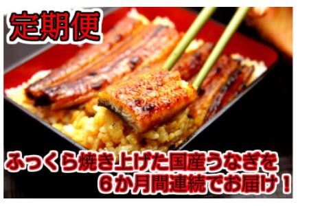 【定期便】国産うなぎ蒲焼大サイズ２本セット（６か月お届け）(B265-1)