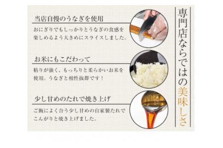 国産うなぎの焼きおにぎり６個セット(B881-1)