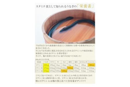 【大容量】国産うなぎ蒲焼きカット1kgセット (B59-2)