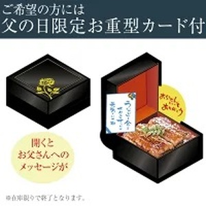 国産うなぎ蒲焼きカット500gセット (B448-1)