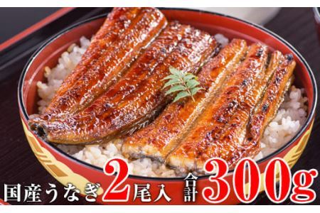 国産うなぎ蒲焼き大サイズ２本セット(B247-1)