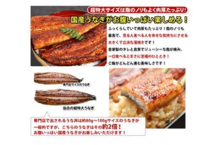 超特大国産うなぎ10本セット (200~229g)(B269-1)