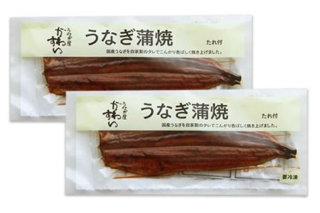 超特大国産うなぎ2本セット(1尾：200~229g)(B113-1)