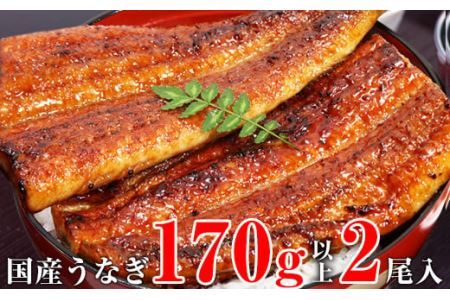 特大サイズ国産うなぎ蒲焼き２本セット   (B318-1)