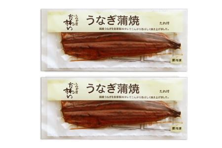 特大サイズ国産うなぎ蒲焼き２本セット   (B318-1)