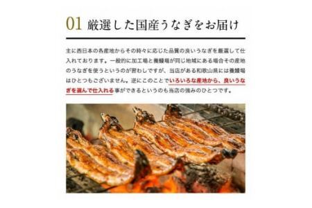 特大サイズ国産うなぎ蒲焼き２本セット   (B318-1)