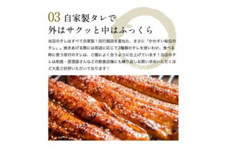 特大サイズ国産うなぎ蒲焼き２本セット   (B318-1)