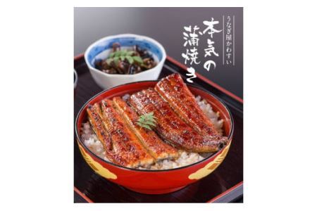 特大サイズ国産うなぎ蒲焼き5本セット（合計850g）(B490-1)