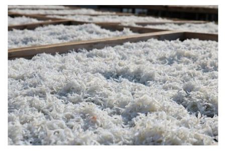 釜揚げしらす250g×4パック(B279-2)