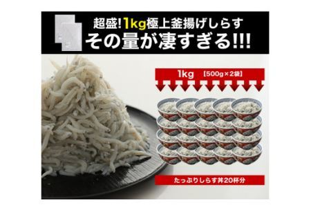 極上釜揚げしらす1kg（500g×2）(B5-1)