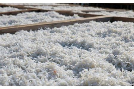 上干ちりめん400g×2箱(B478-2)