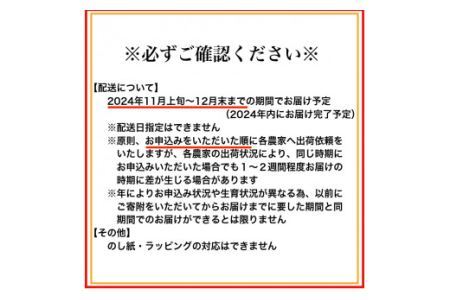 【大粒･2L】有田みかん「未来への虹」（約9kg）(B240-1)