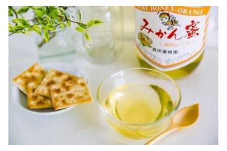 とんがり容器でお届け！はちみつ２種(みかん蜜、山蜜)各　500g(B183-1)