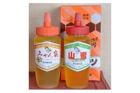 とんがり容器でお届け！はちみつ２種(みかん蜜、山蜜)各　500g(B183-1)