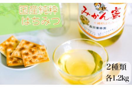 国産純粋はちみつ２種(みかん蜜、山蜜)各　1.2kg(B182-1)