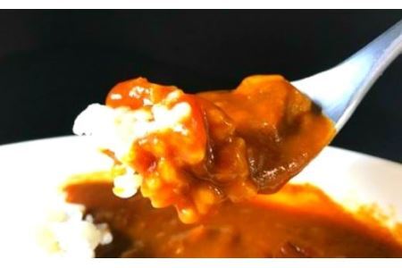 紀の国仕立て食べ比べセット【ビーフカレー：4個　ハヤシライス：3個　金山寺味噌カレー：3個】(B675-1)