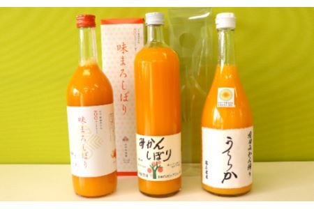 521.【Bセット】有田市認定みかんジュース飲み比べ3本セット(B521-2)