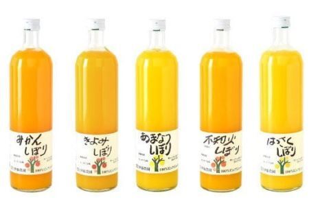 伊藤農園 100%ピュアジュース 大瓶750ml おまかせ6本セット(B224-3)