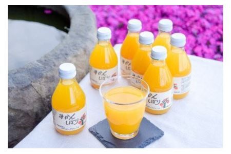 伊藤農園 100%ピュアジュース飲み比べ180ml×15本セット（B222-3）